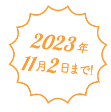 2023年11月2日まで！