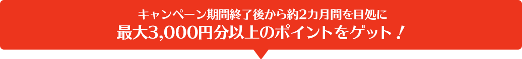 キャンペーン期間終了後から約2カ月間を目処に最大3,000円分以上のポイントをゲット！