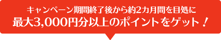 キャンペーン期間終了後から約2カ月間を目処に最大3,000円分以上のポイントをゲット！