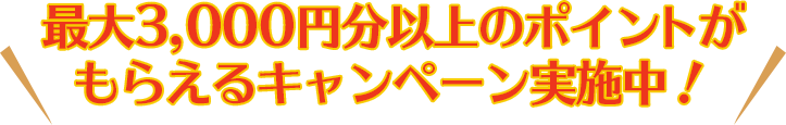 最大3,000円分のポイントがもらえるキャンペーン実施中！