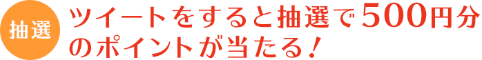 ツイートをすると抽選で500円分
のポイントが当たる！