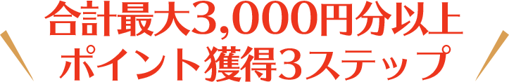 合計最大3,000円分以上ポイント獲得3ステップ