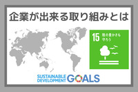 企業ができる取り組みとは：SDGs目標１５『陸の豊かさも守ろう』