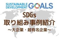 経営企画・CSR担当者なら押さえておきたい SDGs取り組み事例紹介 ～大企業・超有名企業～