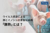 ウイルス感染による豚とイノシシの家畜伝染病「豚熱」とは？