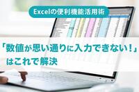 「Excelの便利機能活用術」 「数値が思い通りに入力できない！」はこれで解決