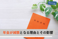 年金が減額となる理由とその影響は？