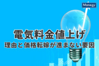 電気料金の値上げが進んだ理由と、値上げした分の企業による価格転嫁が進まない要因とは？