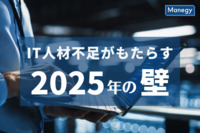 IT人材不足がもたらす「2025年の壁」なぜ日本はDX人材が少ないのか