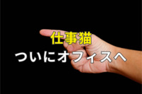 仕事猫、ついにオフィスへ　「ヨシ！」じゃない問題をつぎつぎ解決する「テプラ猫」も新登場