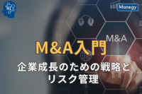 M&A入門: 企業成長のための戦略とリスク管理