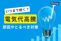 2024年、電気代の高騰はいつまで続く？ その原因やとるべき対策とは
