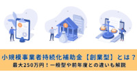 小規模事業者持続化補助金【創業型】とは？最大250万円！一般型や前年度との違いも解説