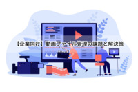 【企業向け】動画ファイル管理の課題と解決策