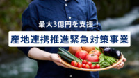 最大3億円を支援！農林水産省の産地連携推進緊急対策事業とは？