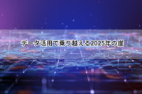 データ活用で乗り越える2025年の崖