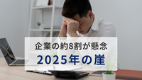 企業の約8割が懸念する「2025年の崖」。アンケート調査でわかった「レガシーシステム」からの脱却に、カギとなるのは「Fit To Standard」