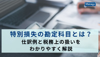 特別損失の勘定科目とは？仕訳例と税務上の扱いをわかりやすく解説