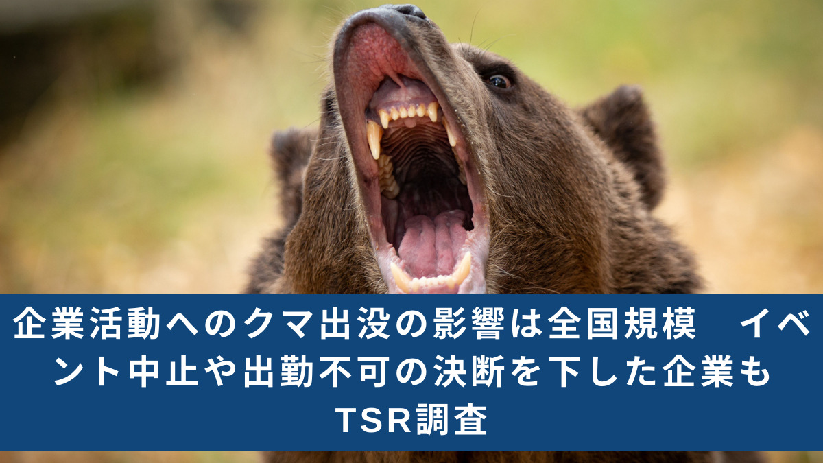 「取適法」企業活動へのクマ出没の影響は全国規模　イベント中止や出勤不可の決断を下した企業も　TSR調査