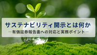 サステナビリティ開示とは何か ―有価証券報告書への対応と実務ポイント―