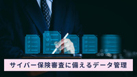サイバー保険審査に備えるデータ管理