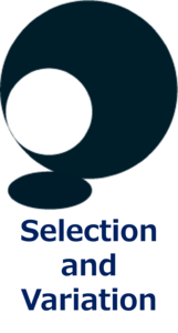 セレクションアンドバリエーション株式会社