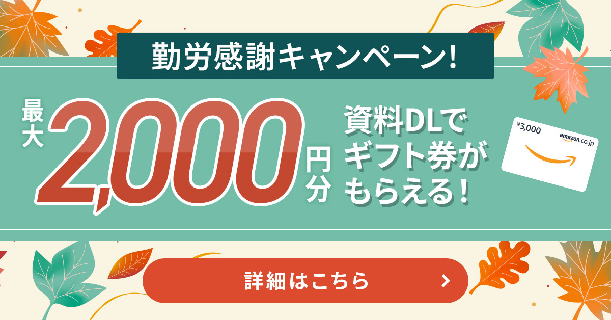 2025年11月キャンペーン