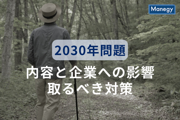 2030年問題の内容と企業への影響、取るべき対策を詳しく解説