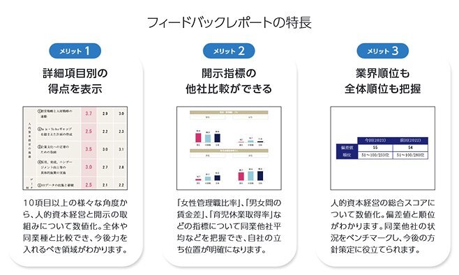 フィードバックレポート
