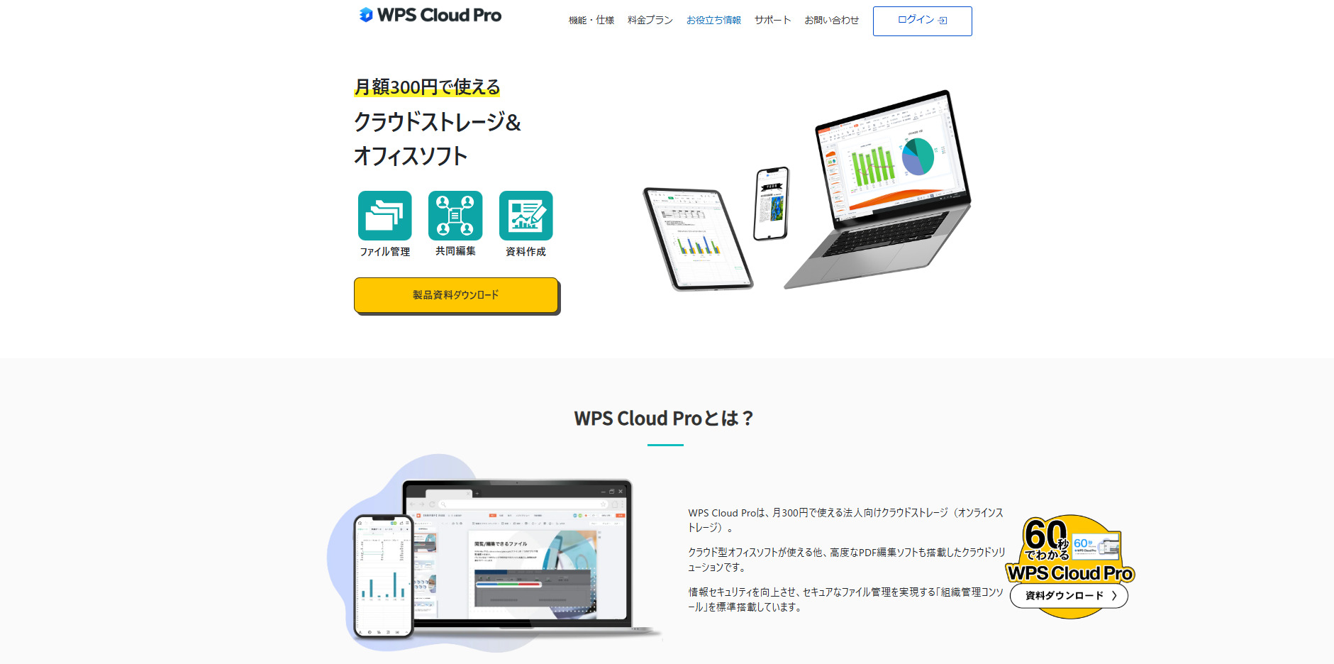 WPS Cloud Pro