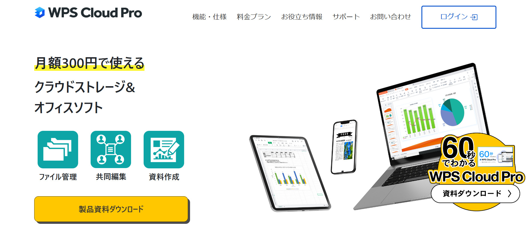 WPS Cloud Pro