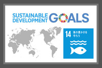 SDGsの目標14．海の豊かさを守ろう