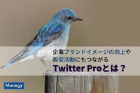 企業のブランドイメージの向上や販促活動にもつながるTwitter Proとは？