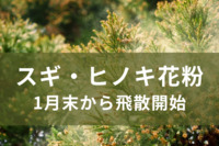 スギ・ヒノキ花粉、1月末から飛散開始　秋田・青森は昨年比2倍、北海道はなんと6倍も